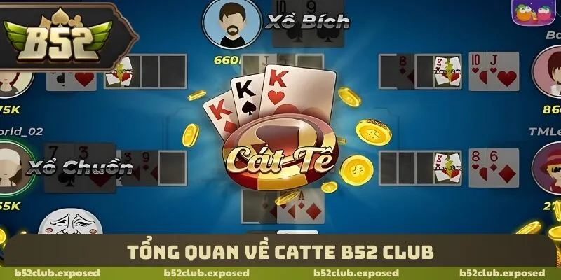Tổng quan về Catte B52 Club